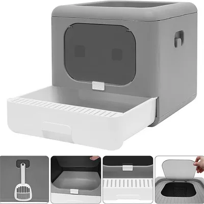 Maison de toilette Bingopaw XXL pour chat Bac à Litière Fermée