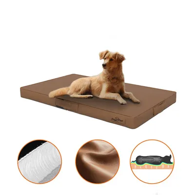 Coussin Pliable BINGOPAW Housse en Cuir  avec Matelas Anti Stress