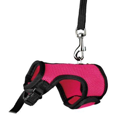Harnais doux avec laisse 1,2 m , pour rats