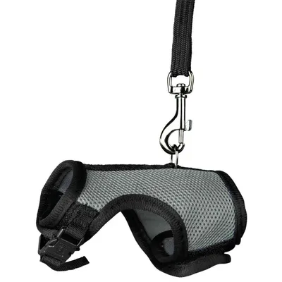 Harnais doux avec laisse 1,2 m , pour rats