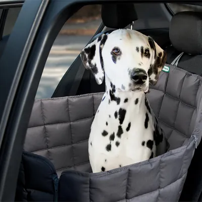 Doctor Bark Housse de siège auto 1 place