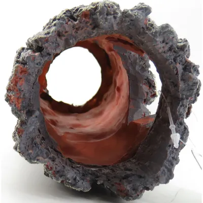 Souche tronc d'arbre creux. Taille: ø 8 x 30 cm