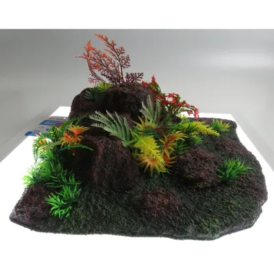 Décoration Radha angle. roche + plante. Décoration Radha angle. roche + plante.