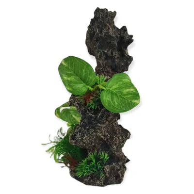 Décoration rocher gris + plantes