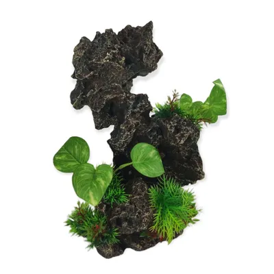 Décoration rocher gris + plantes