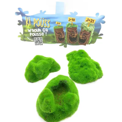 lot de 3 Galets ki pouss