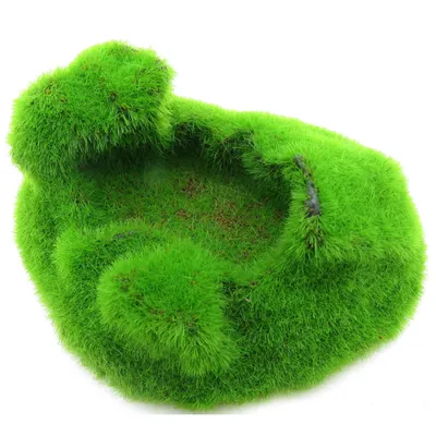 lot de 3 Galets ki pouss