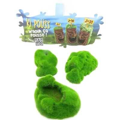 lot de 3 Galets ki pouss