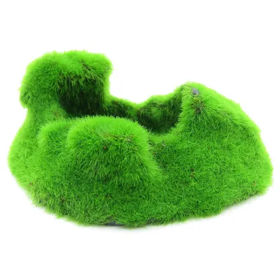 lot de 3 Galets ki pouss