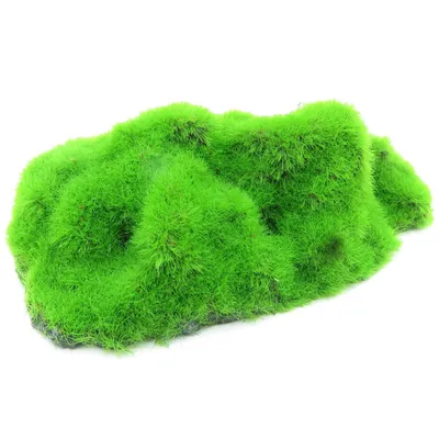 lot de 3 Galets ki pouss