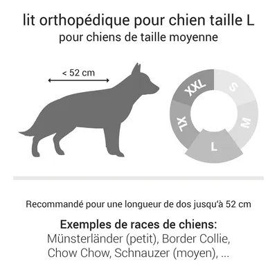 Doctor Bark Lit pour chien orthopédique