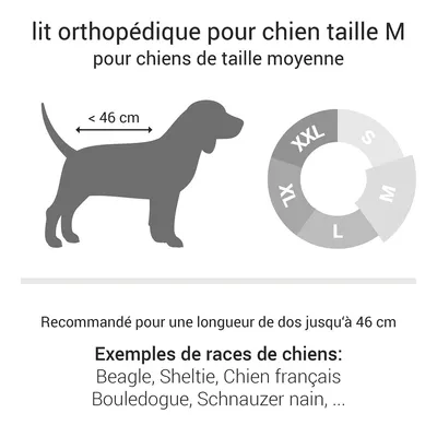 Doctor Bark Lit pour chien orthopédique