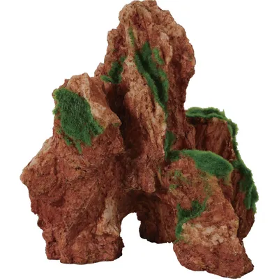 Décor kit Arizona idro décor qui pousse moyen model 17.5 x 14.6 x 20 cm pou