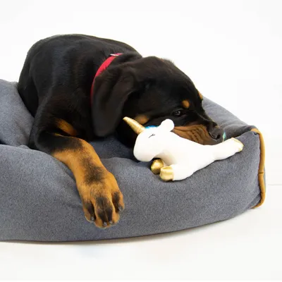 Chadog Peluche Licorne blanche et or 15 cm