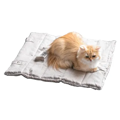 Maxcor Tapis Rectangulaire Chat&Chien - Réversible été/hiver - Petit Beige