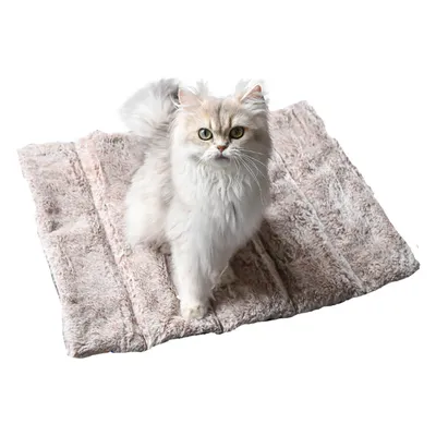 Maxcor Tapis Rectangulaire Chat&Chien - Réversible été/hiver - Petit Beige