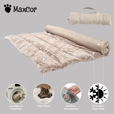 Maxcor Tapis Rectangulaire Chat&Chien - Réversible été/hiver - Petit Beige