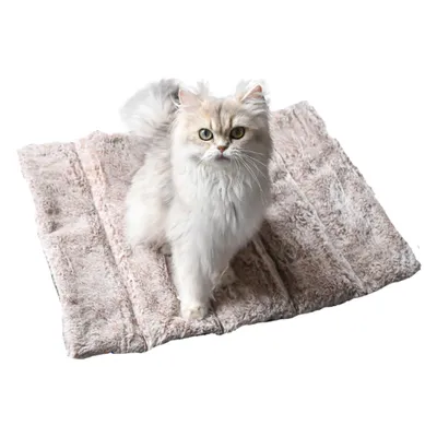 Maxcor Tapis Rectangulaire Chat&Chien - Réversible été/hiver - Petit Gris Maxcor Tapis Rectangulaire Chat&Chien - Réversible été/hiver - Petit Gris