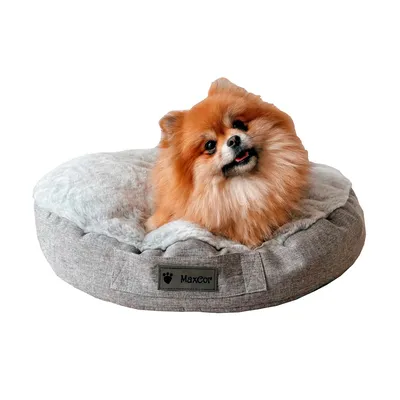 MaxCor Coussin Rond à Mémoire de Forme Réversible Chat - Petit (s) Gris
