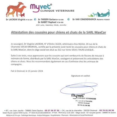 MaxCor Coussin Rond à Mémoire de Forme Réversible Chat - Petit(xs) Gris