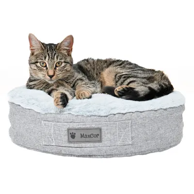 MaxCor Coussin Rond à Mémoire de Forme Réversible Chat - Petit(xs) Gris