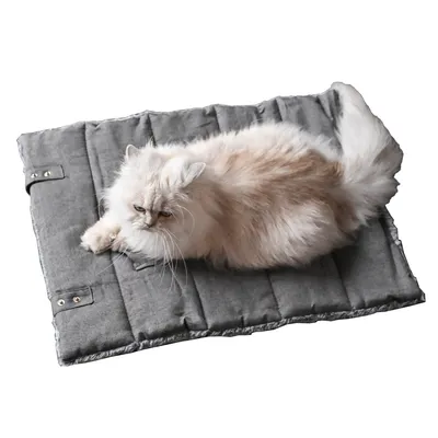 Maxcor Tapis Rectangulaire Chat - Réversible été/hiver - Petit Anthracite