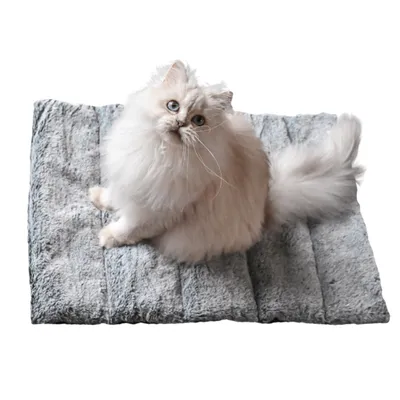 Maxcor Tapis Rectangulaire Chat - Réversible été/hiver - Petit Anthracite