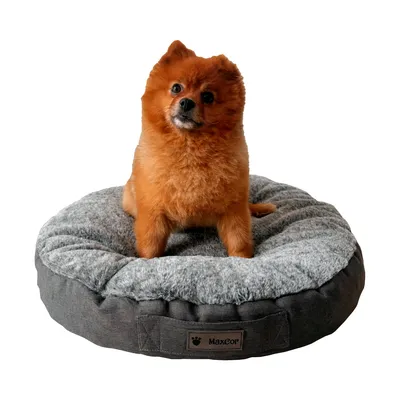 MaxCor Coussin Rond à Mémoire de Forme Réversible Chat - Petit(s)Anthracite