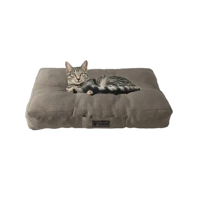 MaxCor Coussin Rectangulaire à Mémoire de Forme Chat et Chien - Petit Beige