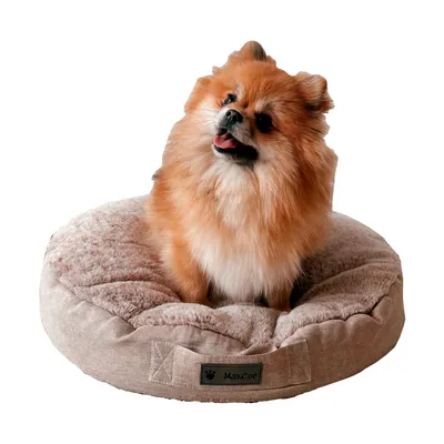 MaxCor Coussin Rond à Mémoire de Forme Réversible Chat - Petit(s)Anthracite