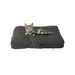 MaxCor Coussin Rectangulaire à Mémoire de Forme pour Chat et Chien - Petit