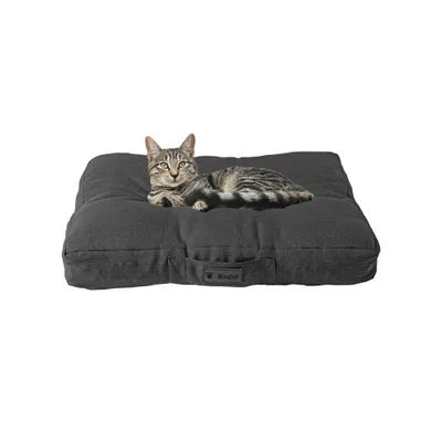 MaxCor Coussin Rectangulaire à Mémoire de Forme Chat et Chien - Petit Beige