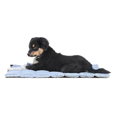 Maxcor Tapis Rectangulaire pour Chien - Réversible été/hiver - Moyen Gris