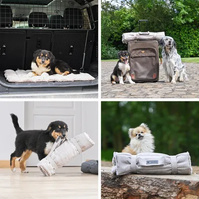 Maxcor Tapis Rectangulaire pour Chien - Réversible été/hiver - Moyen Gris