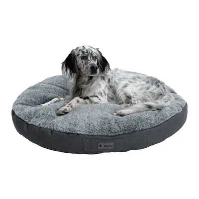 MaxCor Coussin Rond à Mémoire de Forme Réversible - Grand(XL)Anthracite