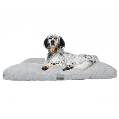 MaxCor Coussin Rectangulaire à Mémoire de Forme pour Chien - Grand Gris MaxCor Coussin Rectangulaire à Mémoire de Forme pour Chien - Grand Gris