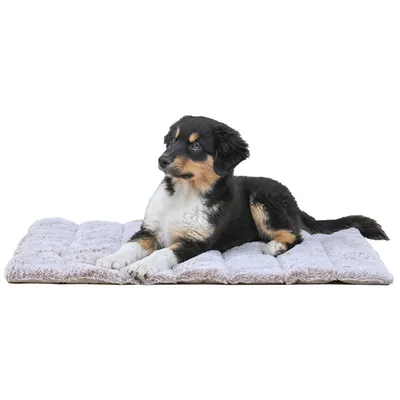 Maxcor Tapis Rectangulaire pour Chien - Réversible été/hiver - Moyen Beige