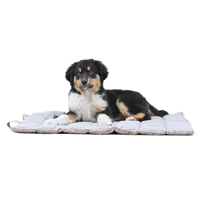 Maxcor Tapis Rectangulaire pour Chien - Réversible été/hiver - Moyen Beige