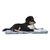 Maxcor Tapis Rectangulaire Chien - Réversible été/hiver - Moyen Anthracite