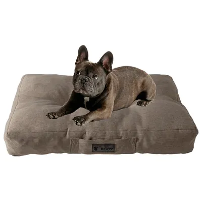 MaxCor Coussin Rectangulaire à Mémoire de Forme pour Chien - Moyen Beige MaxCor Coussin Rectangulaire à Mémoire de Forme pour Chien - Moyen Beige