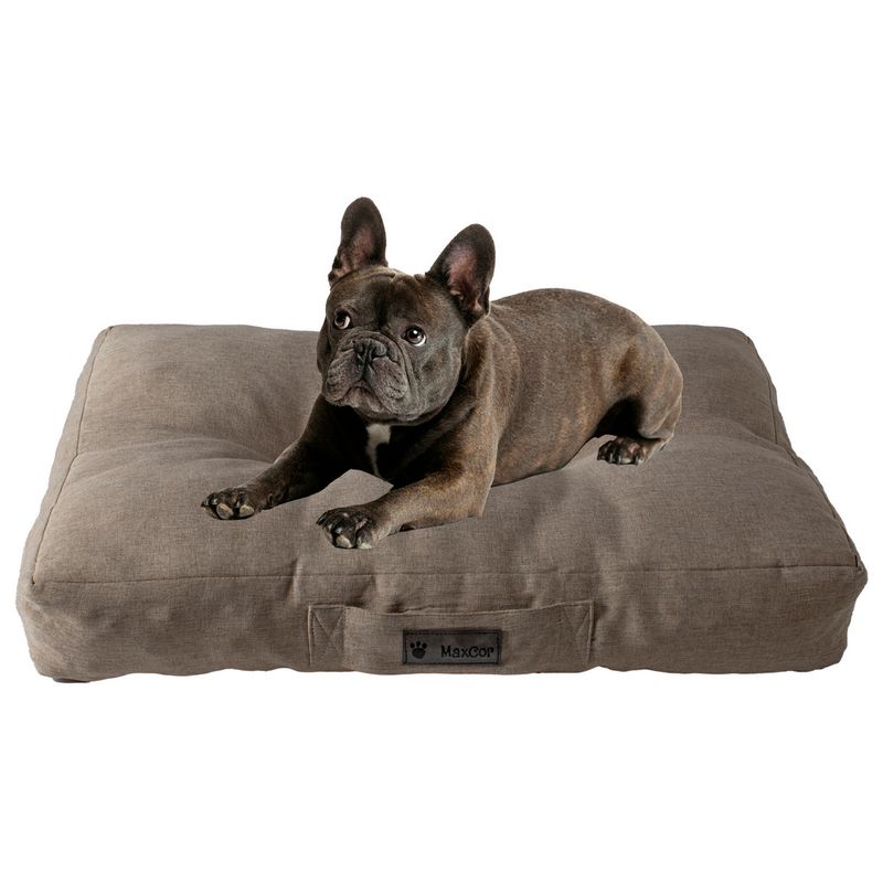 MaxCor Coussin Rectangulaire à Mémoire de Forme pour Chien - Grand Beige