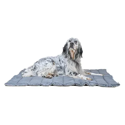 Maxcor Tapis Rectangulaire Chien - Réversible été/hiver - Grand Anthracite