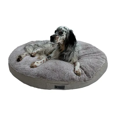 MaxCor Coussin Rond à Mémoire de Forme Réversible Chien - Grand (XL) Beige MaxCor Coussin Rond à Mémoire de Forme Réversible Chien - Grand (XL) Beige