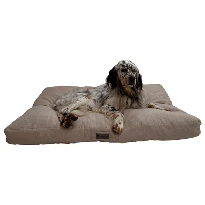 MaxCor Coussin Rectangulaire à Mémoire de Forme pour Chien - Grand Beige