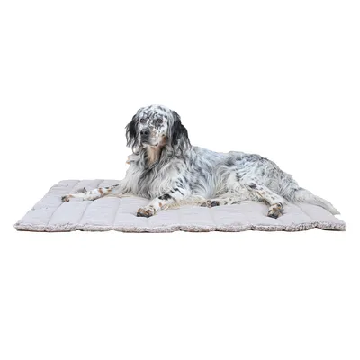 Maxcor Tapis Rectangulaire pour Chien - Réversible été/hiver - Grand Beige