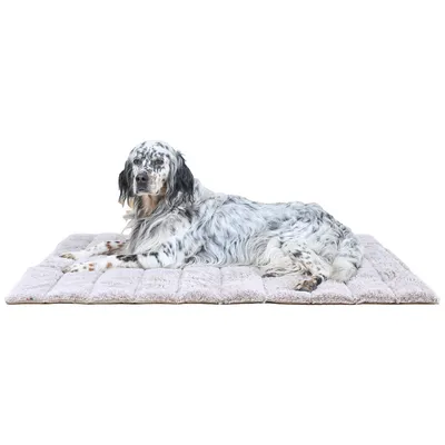 Maxcor Tapis Rectangulaire pour Chien - Réversible été/hiver - Grand Beige