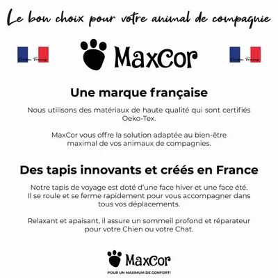 Maxcor Tapis Rectangulaire pour Chien - Réversible été/hiver - Grand Beige