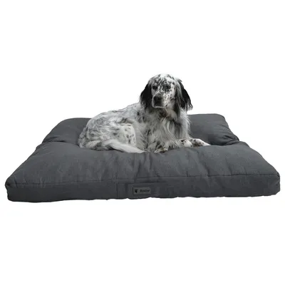 MaxCor Coussin Rectangulaire à Mémoire de Forme Chien - Grand Anthracite MaxCor Coussin Rectangulaire à Mémoire de Forme Chien - Grand Anthracite