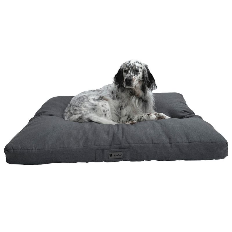 MaxCor Coussin Rectangulaire à Mémoire de Forme pour Chien - Grand Beige