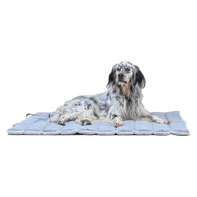 Maxcor Tapis Rectangulaire pour Chien - Réversible été/hiver - Grand Gris